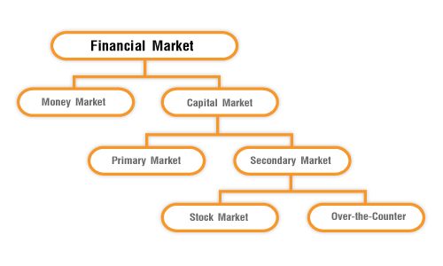 What Are The Maun Functions Of The Financial Market