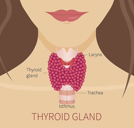 Thyroid Disease