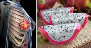 Boosts Immunity