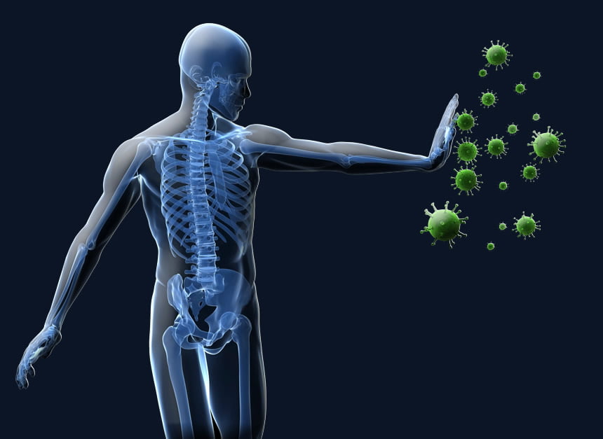 Benefits Of Aloe Vera Juice For Immune System﻿