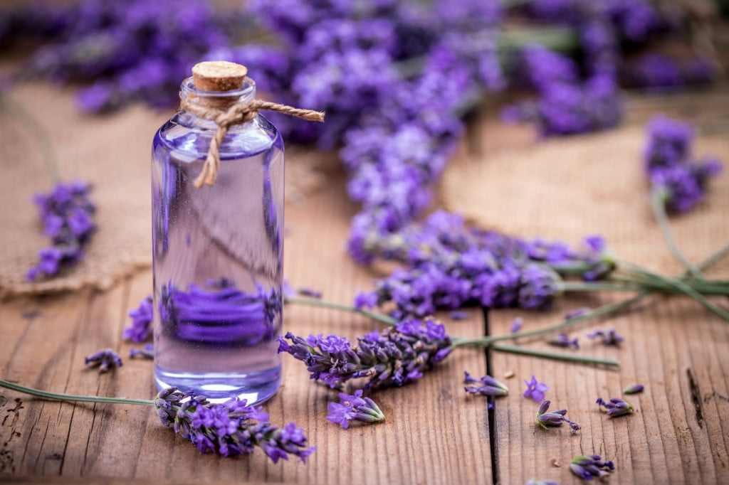 Lavender oil