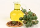 WHAT IS CASTOR OIL