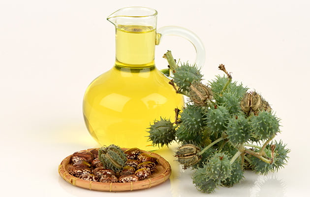 WHAT IS CASTOR OIL