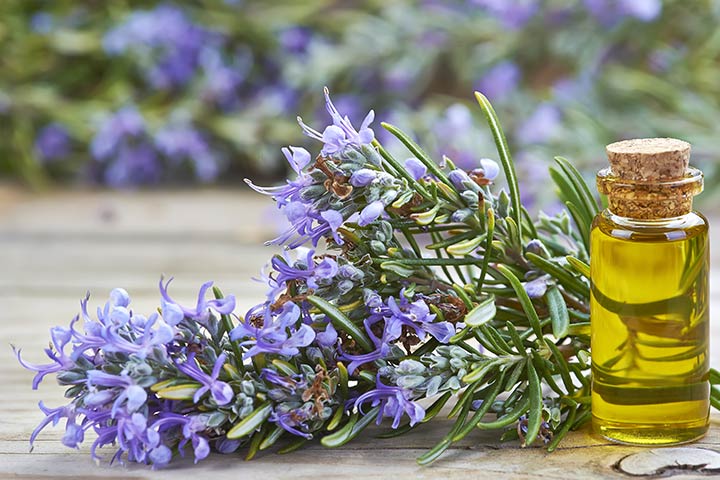 Castor Oil And Rosemary Oil