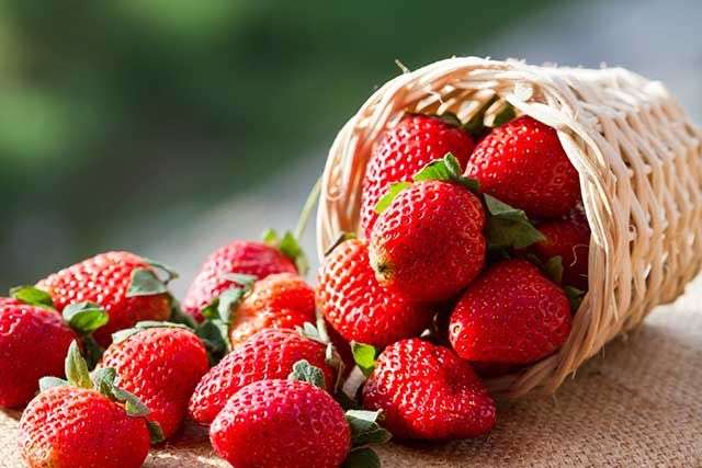 Strawberry Benefits to Fight Cancer