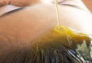 ghee on hair overnight