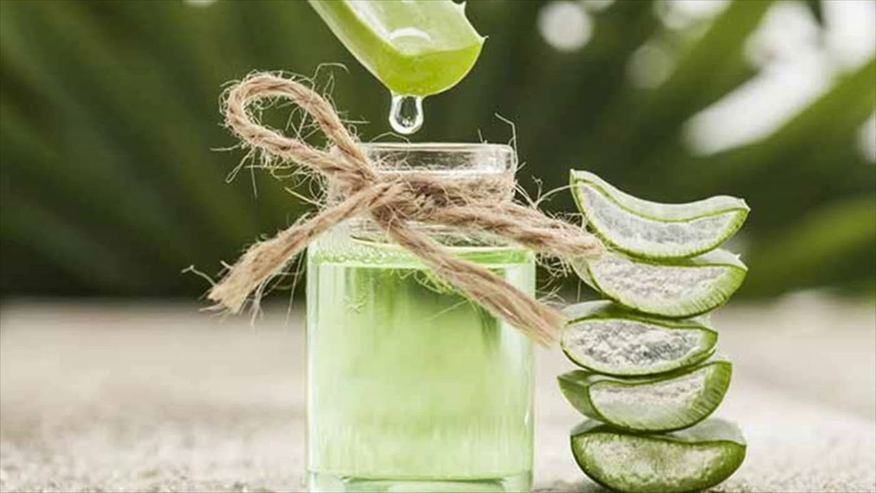 Aloe Vera