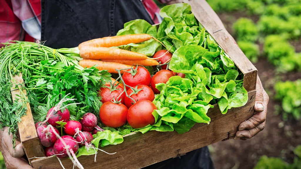 Organic Food Service