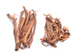 Slippery Elm Root Bark