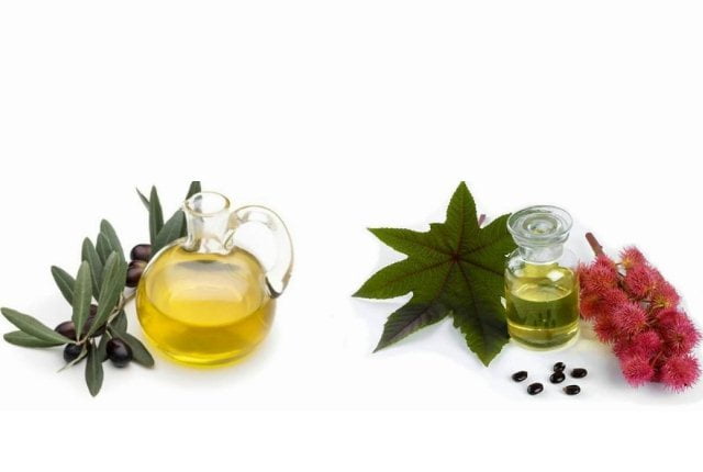 Vaseline, Castor Oil, And Olive Oil