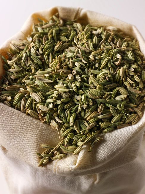 Fennel