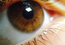 vitamin A deficiency disease