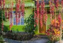 cleanest villages in India