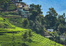 best time to visit Munnar,