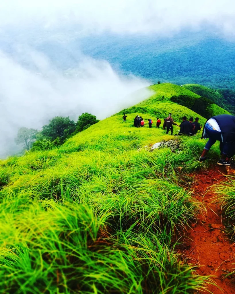 Brahmagiri Wildlife Sanctuary