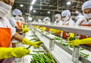 Food Processing Industry in India