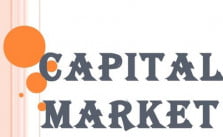 capital market instruments