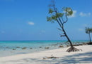 longest coastline in India