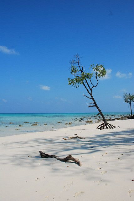 longest coastline in India