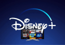 benefits of Disney Enterprise Portal