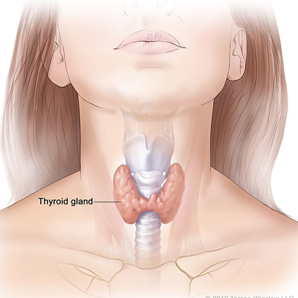 Thyroid Disease 1