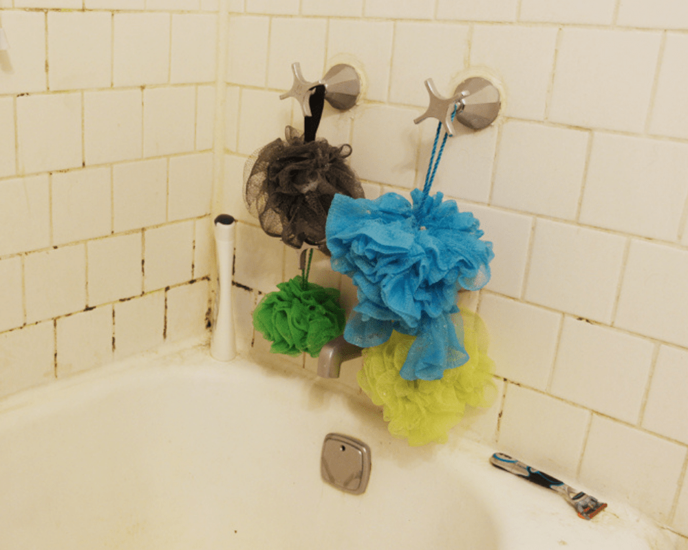Loofahs