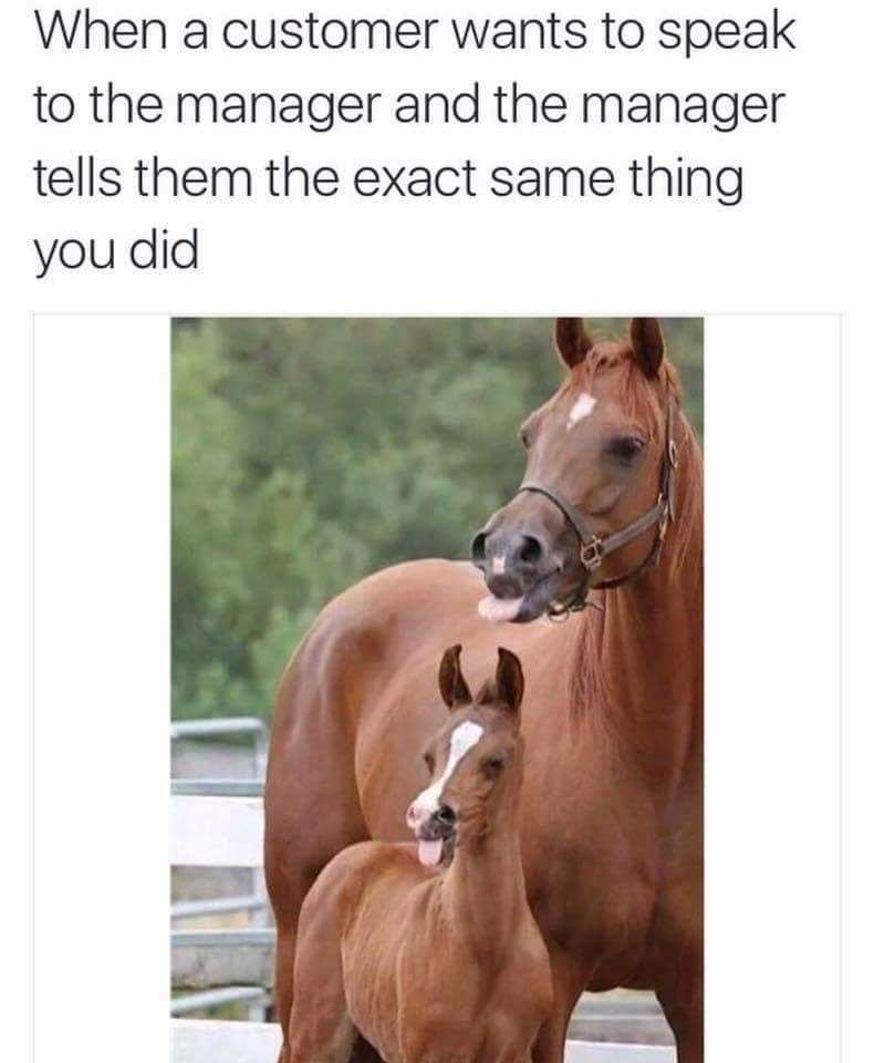 Quit Horsing Around, Karen