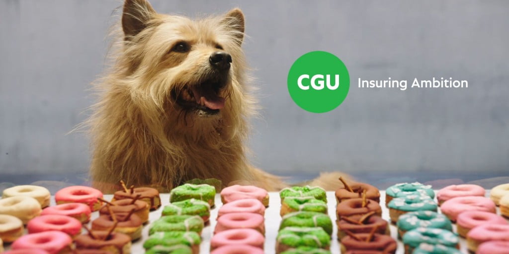 AMBITION OF CGU INSURANCE