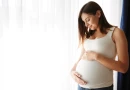 Information on the Timeline of Pregnancy