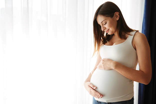 Information on the Timeline of Pregnancy