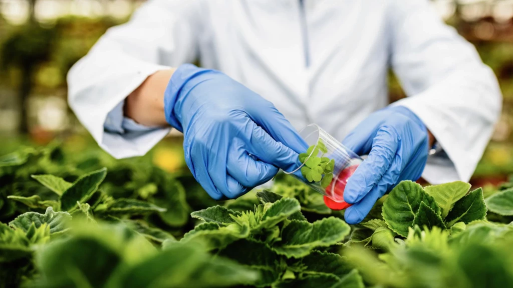 The Importance of the Cardiovascular Clinical Science Foundation in the Field of Medicine
