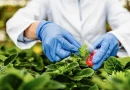 The Importance of the Cardiovascular Clinical Science Foundation in the Field of Medicine