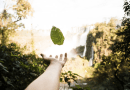 Going Green 4 Ways to Reduce Your Carbon Footprint
