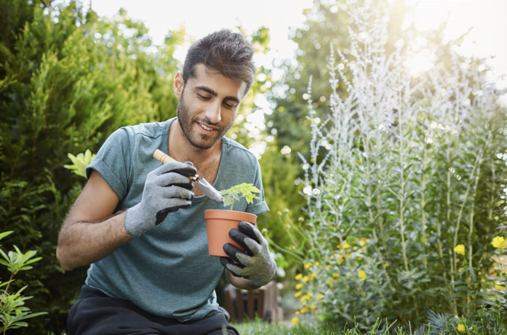 Lawn Love: Choosing The Best Weed Killer For Your Green Oasis