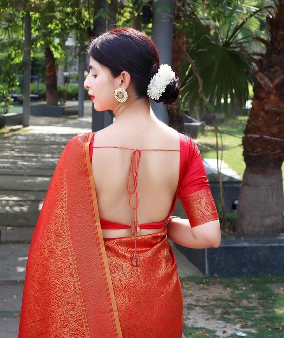 Backless Blouse Design