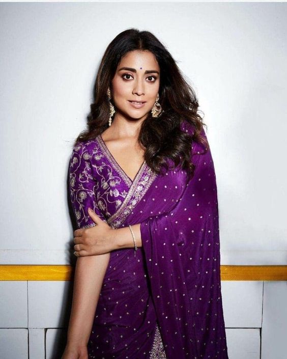 Zari Bordered Purple Silk Blouse Design