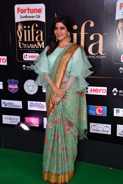 Ruffled Sleeve Blouse