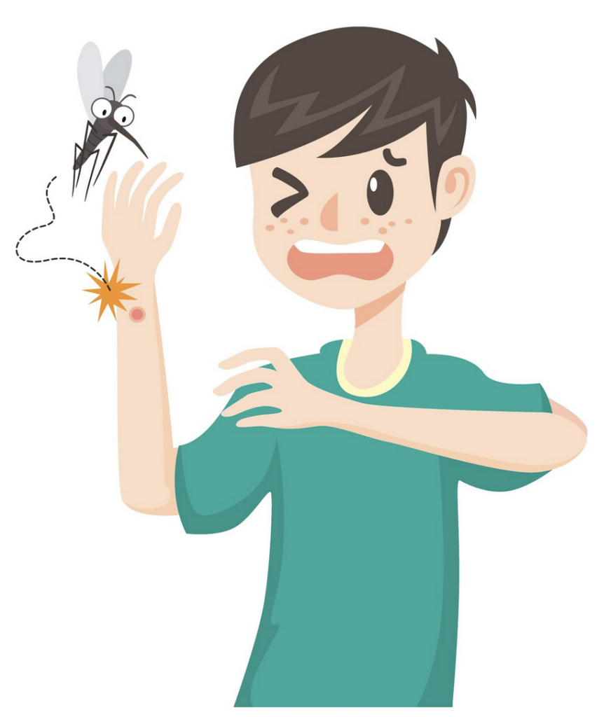 The Easiest Way to Stay Mosquito-Free Without Planning Ahead
